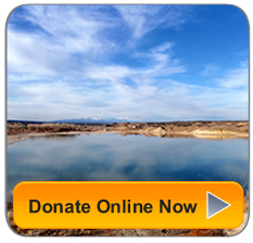 Together we can make a critical difference, Donate Now Together we can make a critical difference, Donate Now