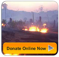 Together we can make a critical difference, Donate Now