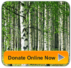 Donate Online Now