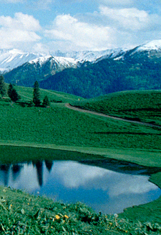 Photo of green mountain and lake