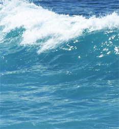Waves