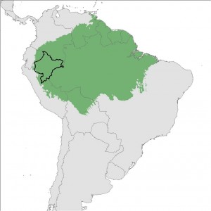 Loreto region of Peru outlined in black.
