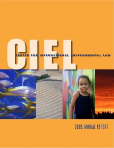 CIEL 2006 Annual Report