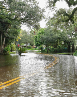 A flooded neighborhood street.